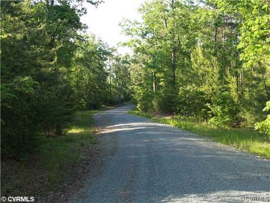 Other - Trees line gravel road within subdivision