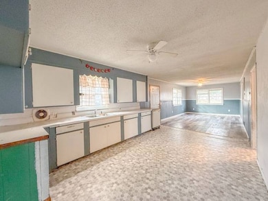 300 E Clay St, Pleasant Hill, IL 62366 - photo 7