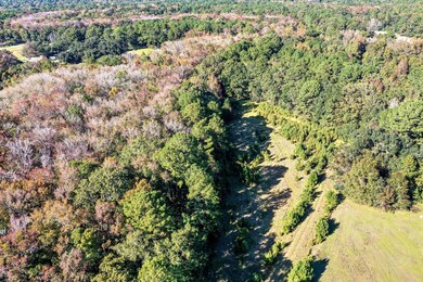 2459 Plow Ground Rd, Johns Island, SC 29455 - photo 4