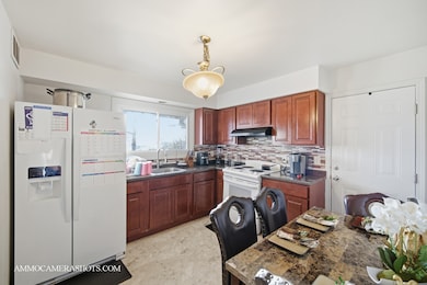 909 Bishop Ave, Aurora, IL 60506 - photo 2