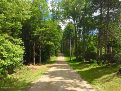 Summer View