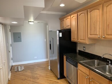 2915 W Granville Ave unit 2E, Chicago, IL 60659 - photo 5