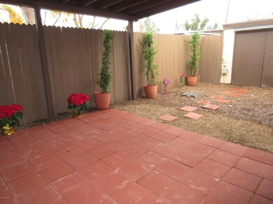 Back Yard 3