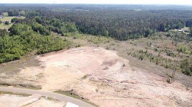 0 Lebleu Settlement unit 29-1633, Leesville, LA 71446 - photo 4