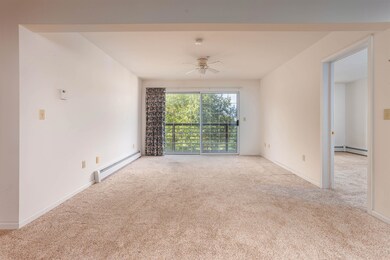 209 Hildred Dr, Burlington, VT 05401 - photo 3