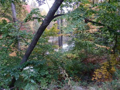View of deck of the stocked pond