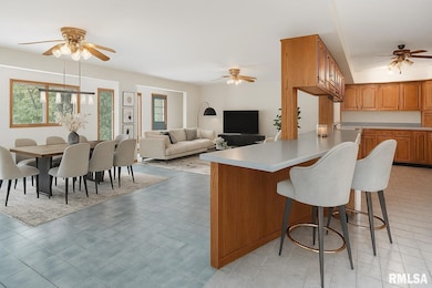 9554 Rock River View, Colona, IL 61241 - photo 3