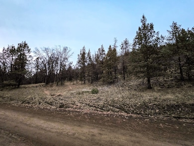 0 Log House Rd, MacDoel, CA 96058 - photo 6