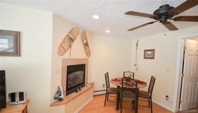 414 Tenderfoot St unit 9, Dillon, CO 80435 - photo 4