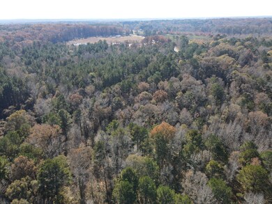 1597 Oconee Rd, Buckhead, GA 30625 - photo 6