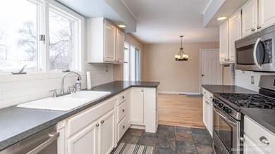 4711 Dexter Pinckney Rd, Dexter, MI 48130 - photo 7