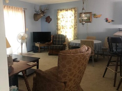 11098 N Harrison Ave, Bitely, MI 49309 - photo 6