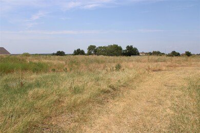 101 Kathy Stephens Ave, Springtown, TX 76082 - photo 2