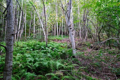 00 Evergreen Acres, Ludlow, VT 05149 - photo 5