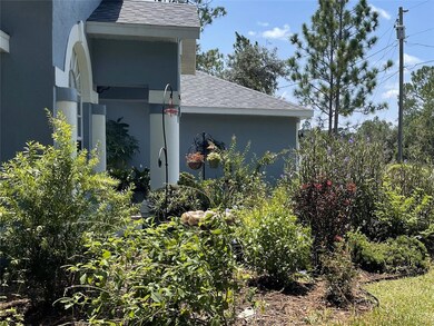 HOUSE FRONT FLOWER BED