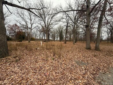 3073 W Dayton St, Flint, MI 48504 - photo 6