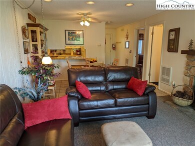 161 Skyleaf Dr unit E-7, Sugar Mountain, NC 28604 - photo 4