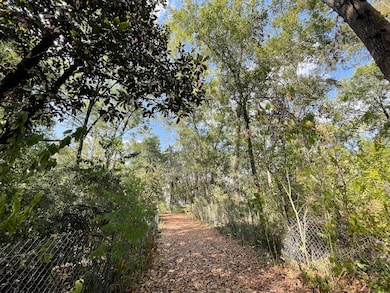 32 Stillforest St, Houston, TX 77024 - photo 2