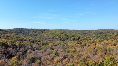 000 Route Z Hwy, van Buren, MO 63965 - photo 5