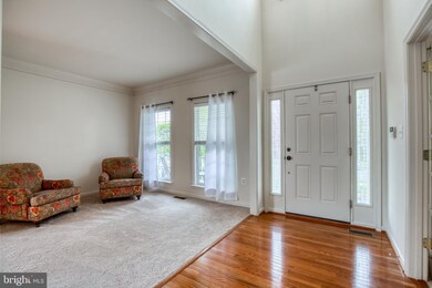 116 Sesar Ct, Winchester, VA 22602 - photo 4