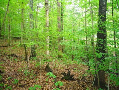 Flat Area; possible build site