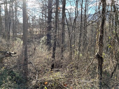 Hampton View Dr 6