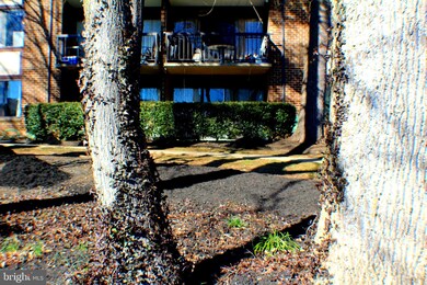9717 Kings Crown Ct unit 1, Fairfax, VA 22031 - photo 7