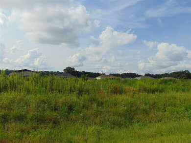 0 Tillis Ln, Crawfordville, FL 32327 - photo 2