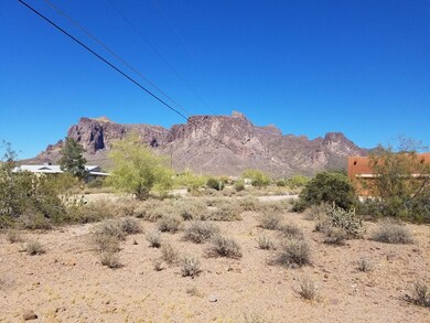 5077 forest view photo
