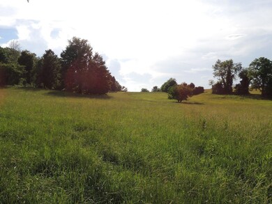 DSCN0685