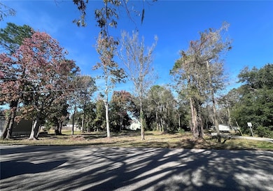 TBD E Lake St, Palatka, FL 32177 - photo 6