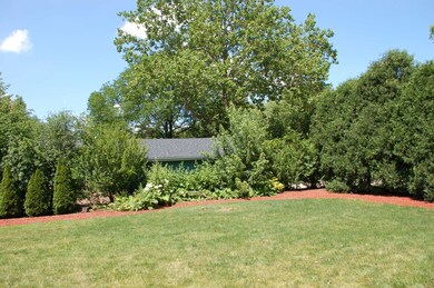 305 Tamarack Ave, Naperville, IL 60540 - photo 3