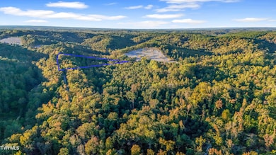 DJI_20251015171956_0015_D_outline_2