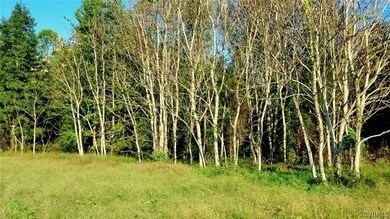 000 Boxley Rd, Caroline, VA 22546 - photo 5