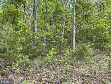 0 Cross Mountain Rd unit VAPA105960, Luray, VA 22835 - photo 6