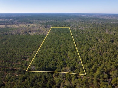 Forest Service Road 527, Apple Springs, TX 75926 - photo 3