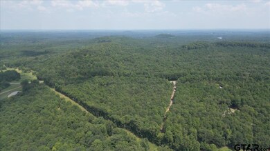 TBD Lot 4 Cactus Rd, Pittsburg, TX 75686 - photo 6