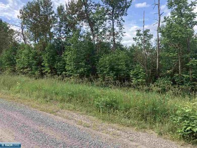 TBD Dass Rd, Meadowland, MN 55765 - photo 6