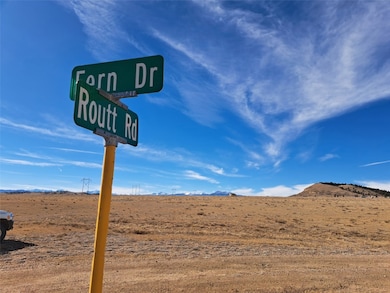 3547 Routt Rd, Hartsel, CO 80449 - photo 7