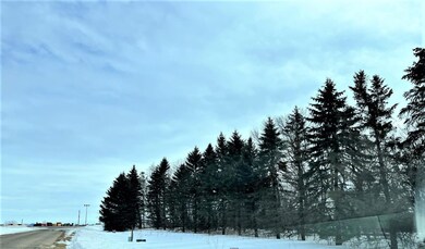 40519 Pine View Dr, Sauk Centre, MN 56378 - photo 7