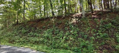 IMG_20220721_134008017