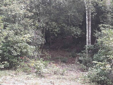 A driveway was cut in along Cassel Creek Road in t