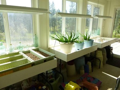 GREEN HOUSE ROOM