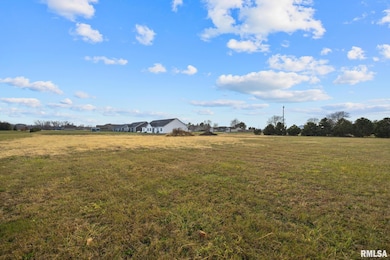 1920 - 1922 Mayflower Dr, Elm Grove Township, IL 61554 - photo 3