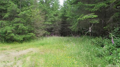 25827 186th St E, Orting, WA 98360 - photo 5