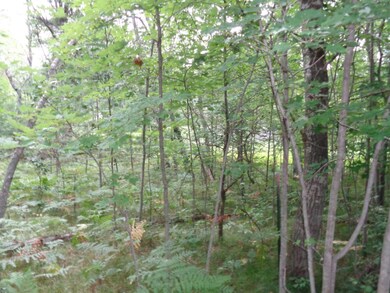 DSC00304