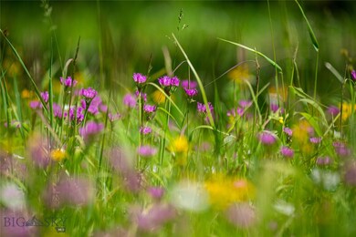 Tract 4A Upper Chief Joseph Trail, Big Sky, MT 59716 - photo 4