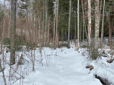 203 W Forest Lake Rd, Bethlehem, NH 03574 - photo 2