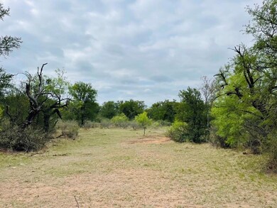 44 County Road 129, Brownwood, TX 76801 - photo 6