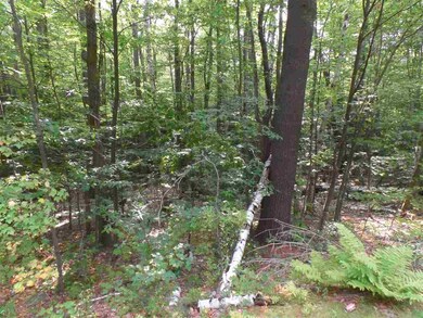 30 Catamount Rd, Pittsfield, NH 03263 - photo 2